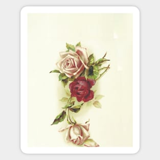 Painted Roses - Nature Inspired Sticker